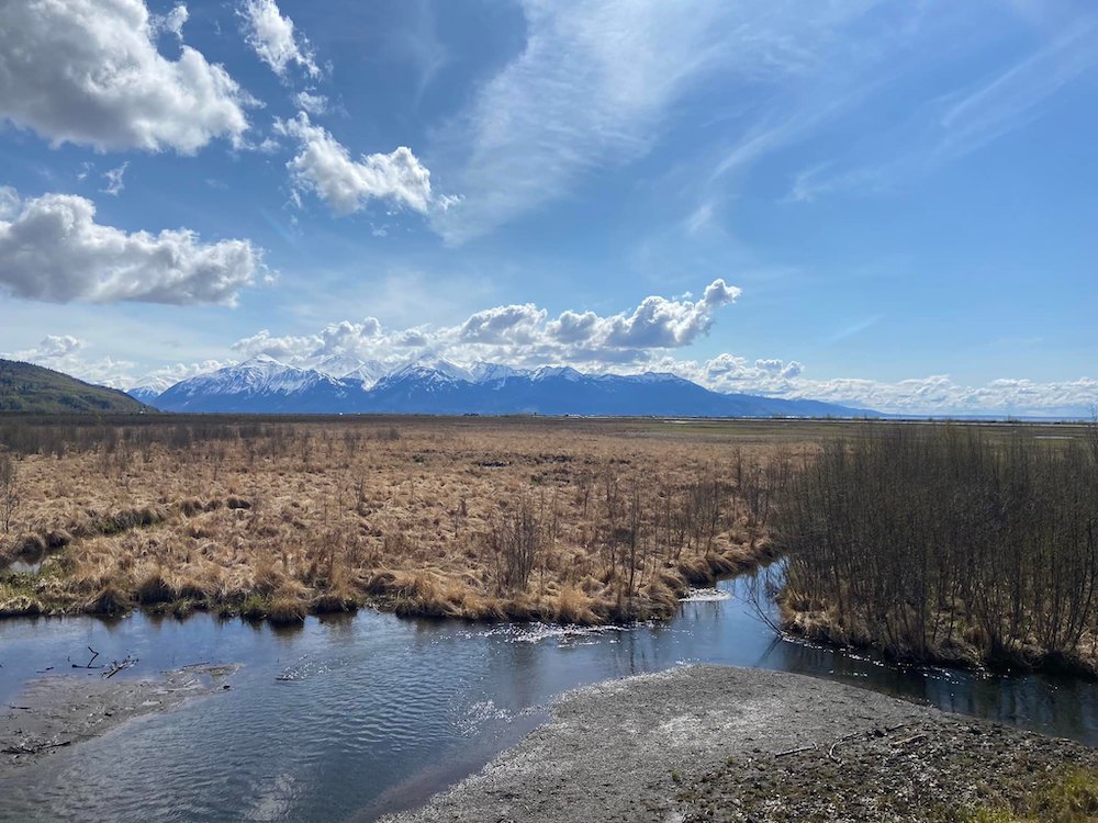 photograph of the Alaskan wilderness