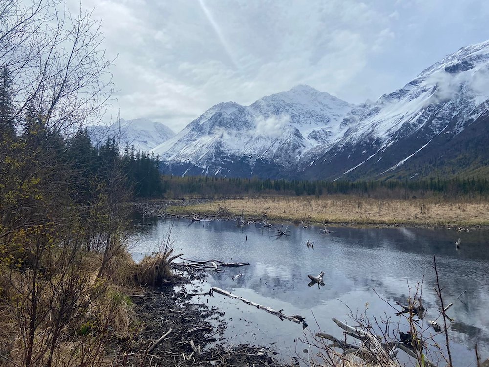 a photograph of the Alaskan wilderness