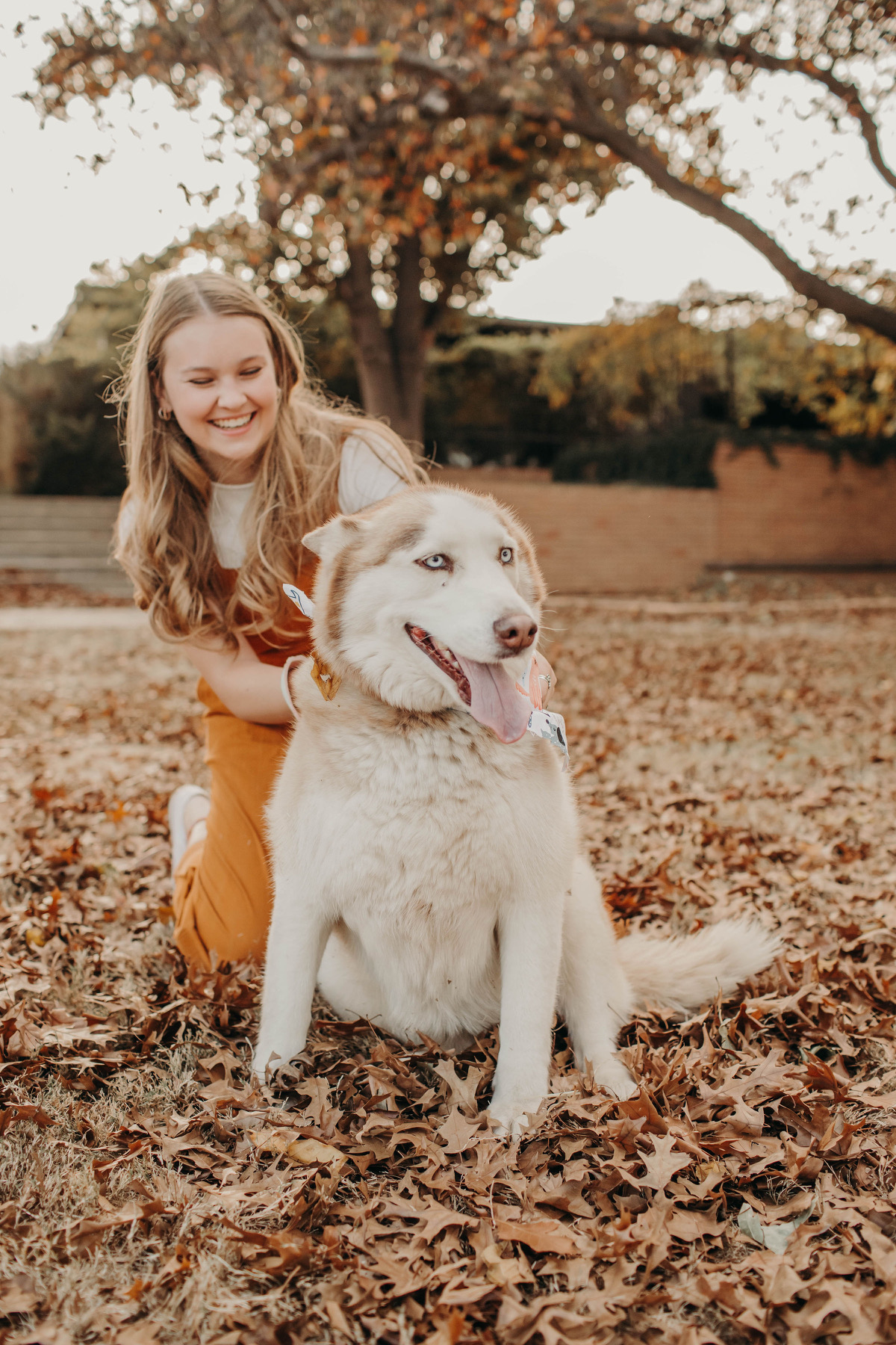 a smiling young woman kneels in a pile of fall leaves, petting a dog with long, white hair