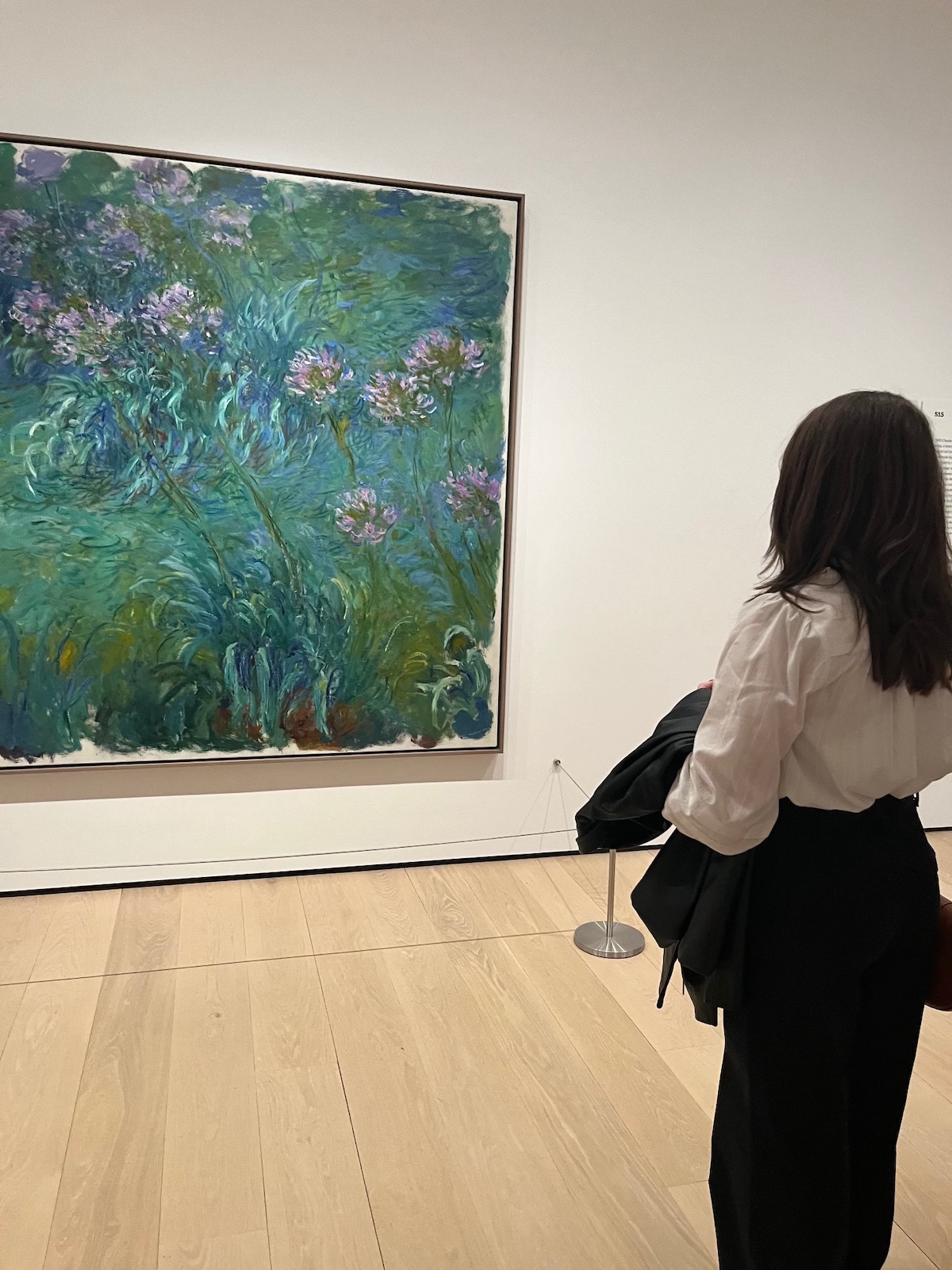 A young woman stands looking at a painting in the Museum of Modern Art.