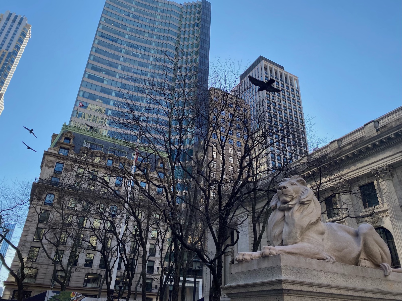 A stone statue of a lion sits next to the New York Public Library. In the background, several tall buildings frame the horizon.