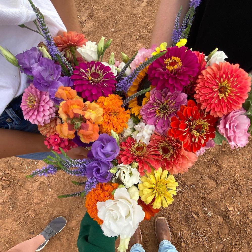 Camera faces down at an arrangement of multi-colored flowers