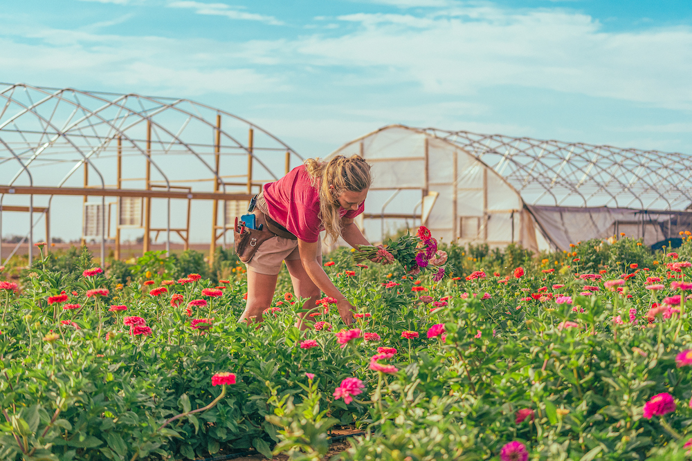 Skyler works in the field at SkyGardens