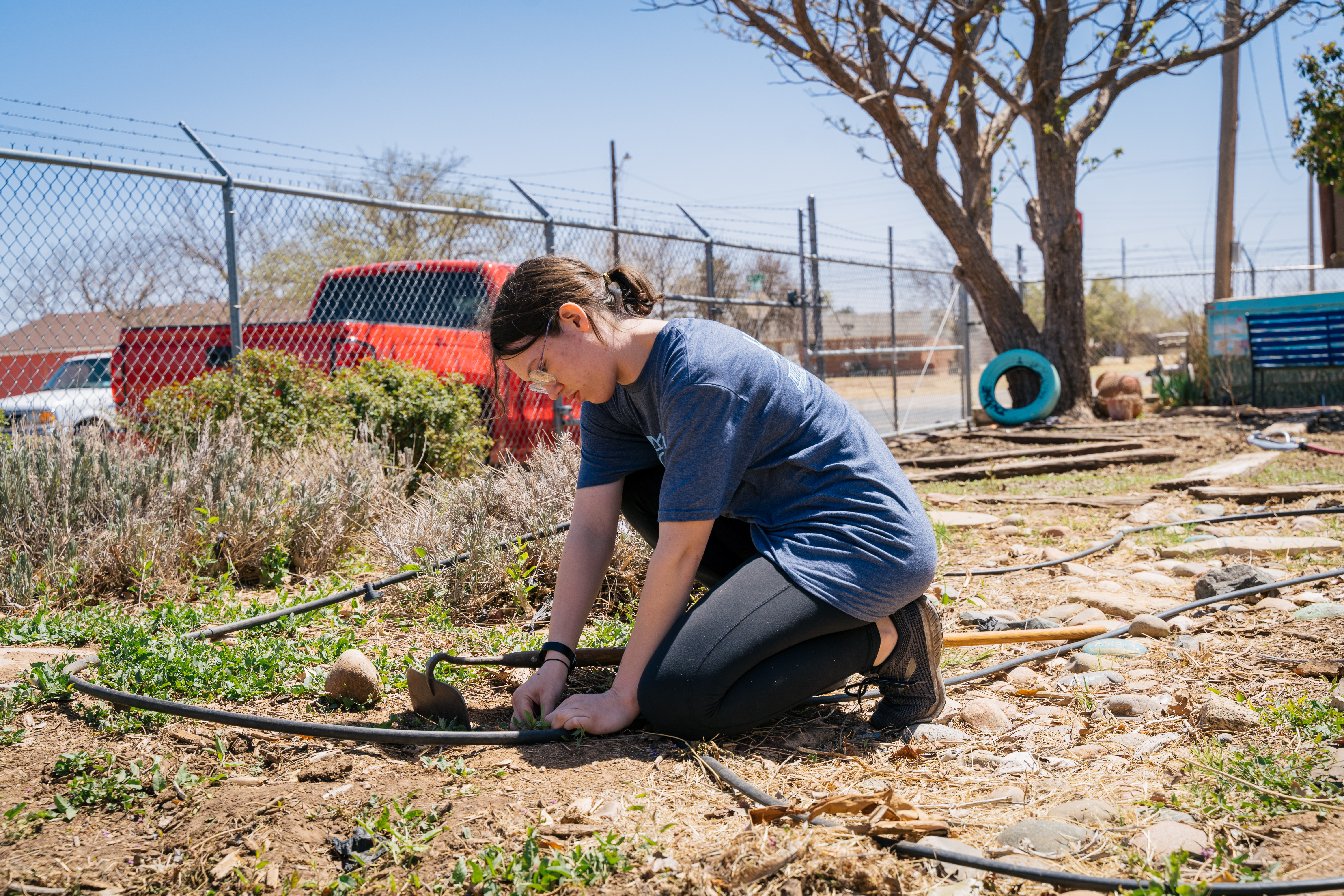 young woman kneeling and pulling weeds in a community garden