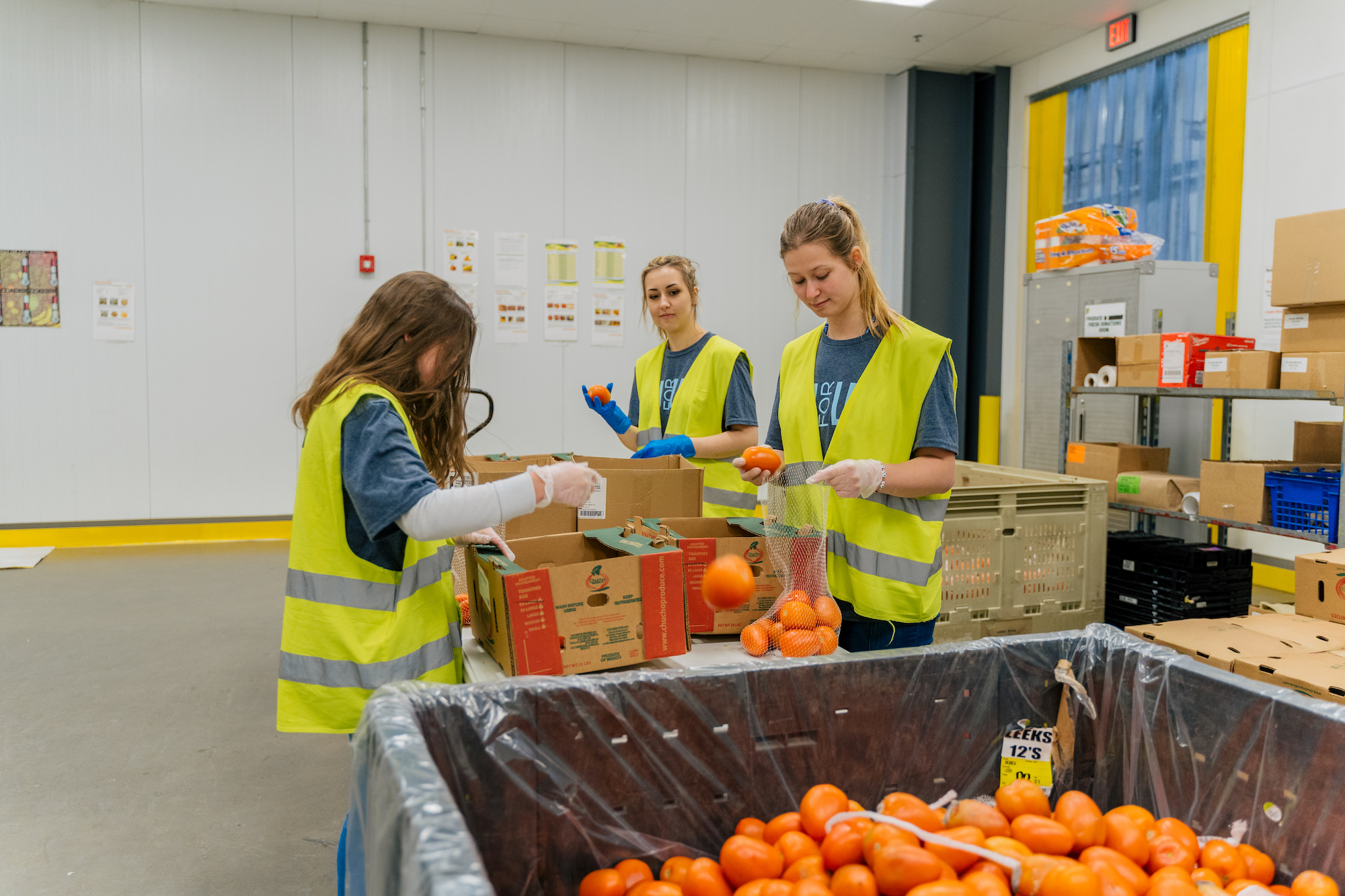 three LCU for LBK volunteers place tomatoes into bags for distribution at a food bank