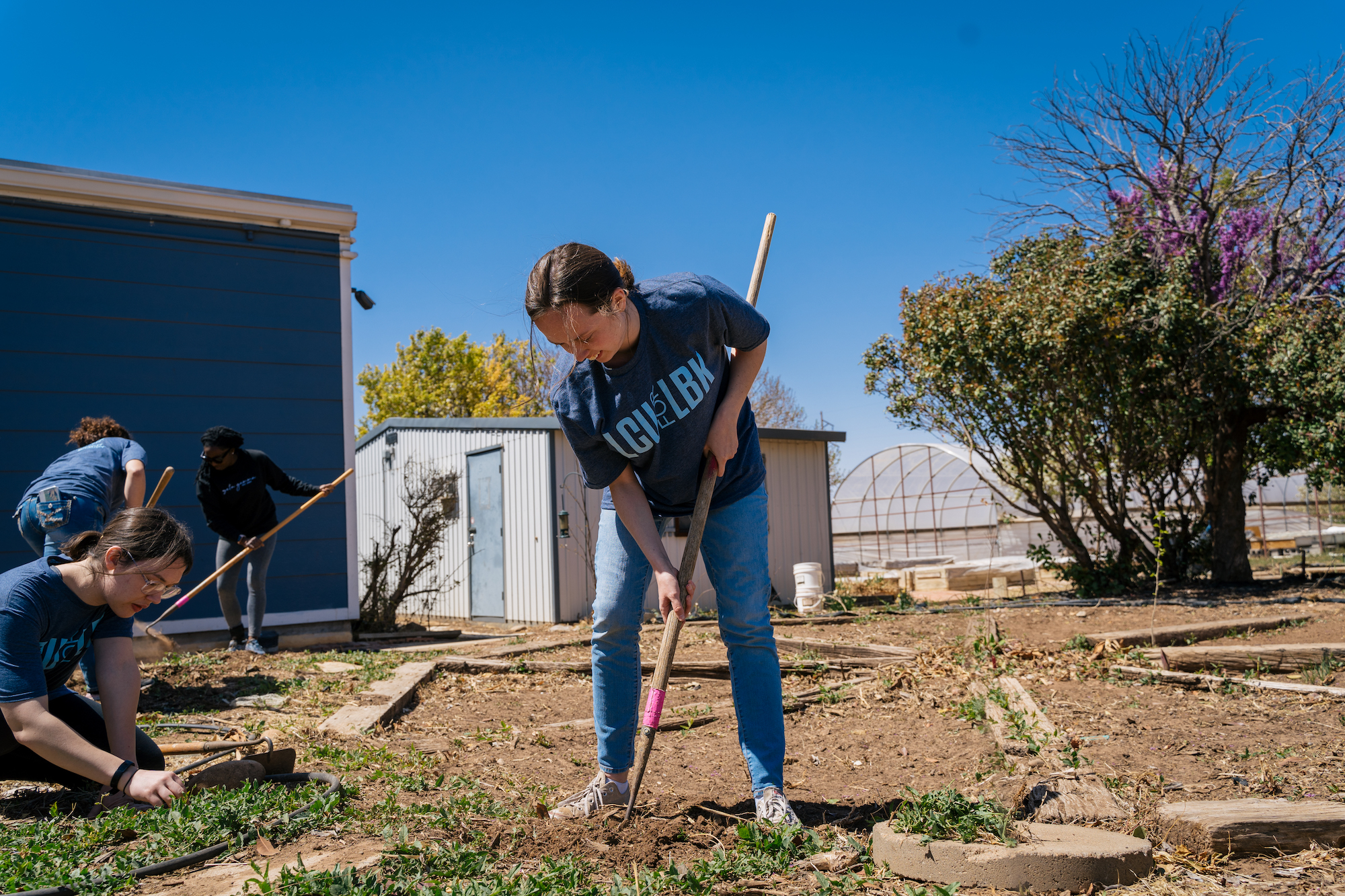 multiple students helping clean up and hoeing weeds in a community garden